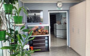 Наркологическая клиника Бучацкого