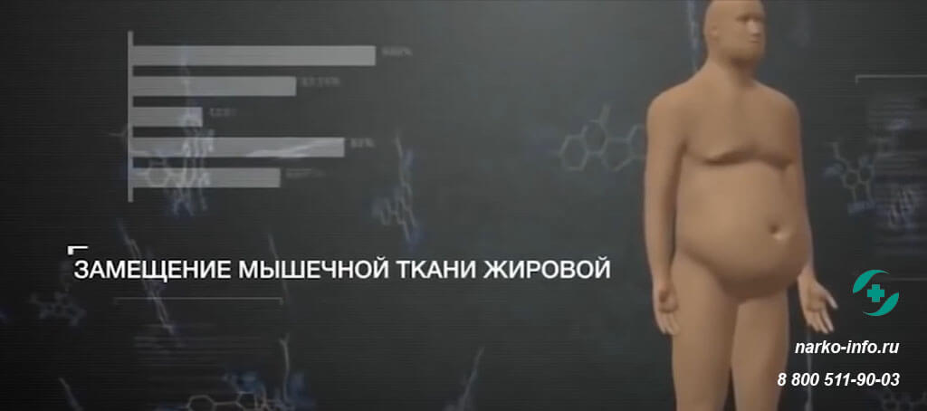 влияние алкоголя на организм