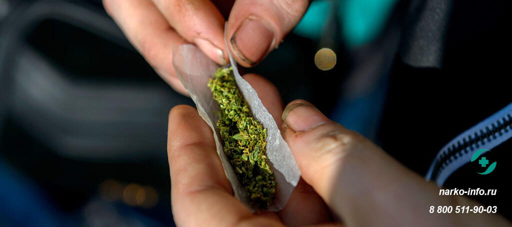 Наркотики марихуана новости конопля и потенция у мужчин