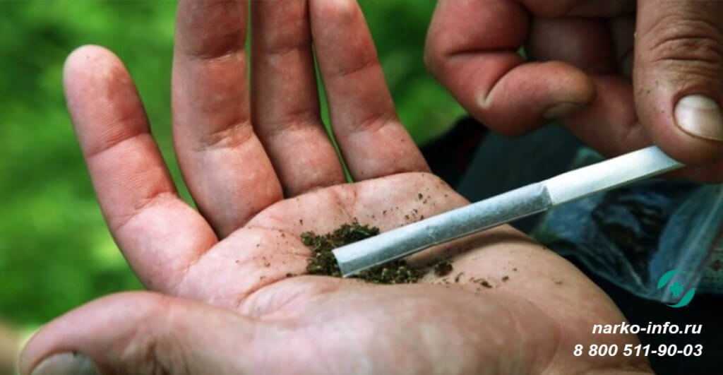 польза и вред от курения марихуаны