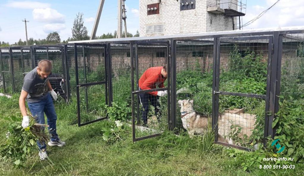Уборка в центре для бездомных животных