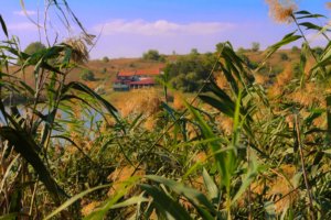 Реабилитационный центр в Болгарии 8