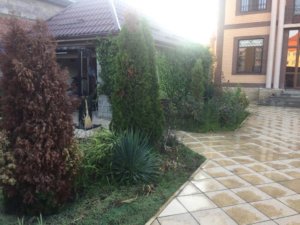 Реабилитационный центр Горец 12