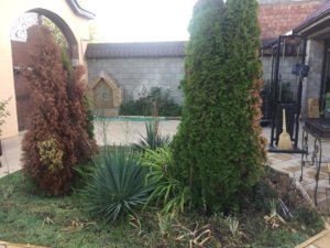 Реабилитационный центр Горец 9