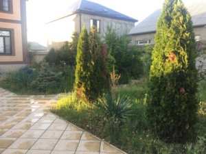 Реабилитационный центр Горец 8