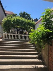 Центр Хаят 12