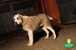 Центр Ковчег 21