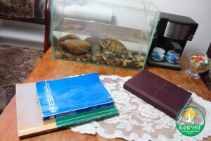 Центр Ковчег 13