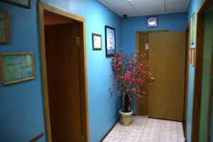 Гармония жизни 1