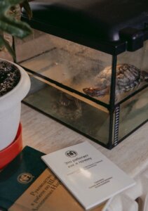 Наркологическая клиника Аврора 6