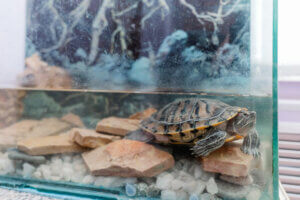 Центр Гармония