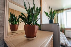 Сильная личность 10