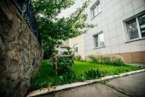 Сильная личность 23