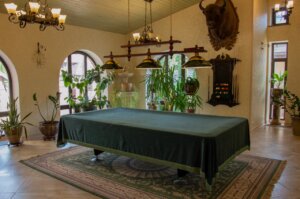 Гостиная центра Виэль