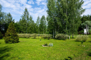 РЦ Здравница Волоколамск