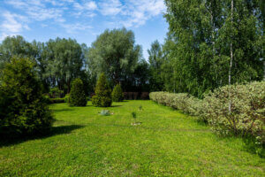 РЦ Здравница Волоколамск