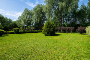 РЦ Здравница Волоколамск