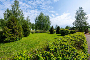 РЦ Здравница Волоколамск