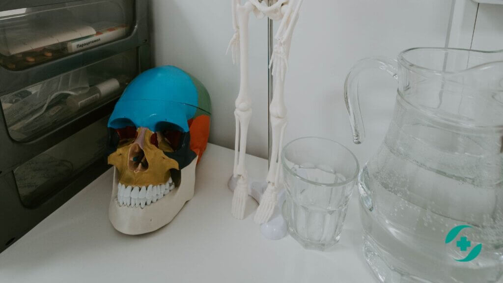 Клиника Здравница череп