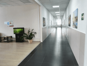 клиника Возрождение