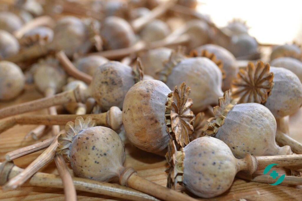 маковая соломка