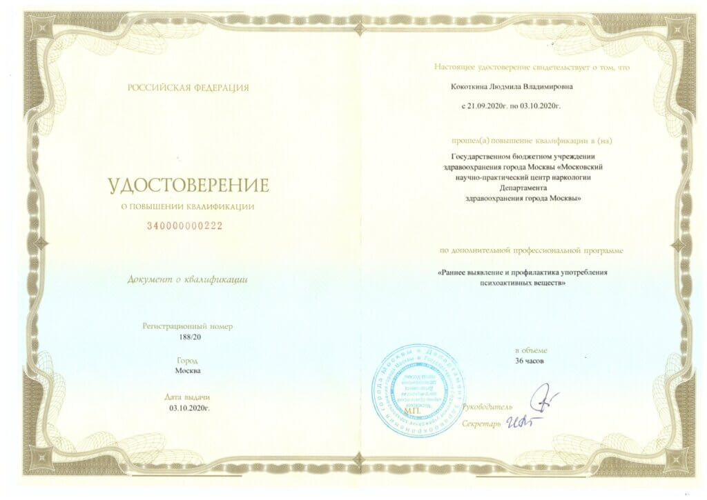 Кокоткина Людмила Владимировна - документ #2